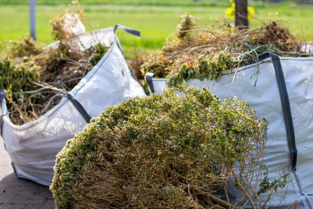 Best Yard Cleanup Services  in Neillsville, WI